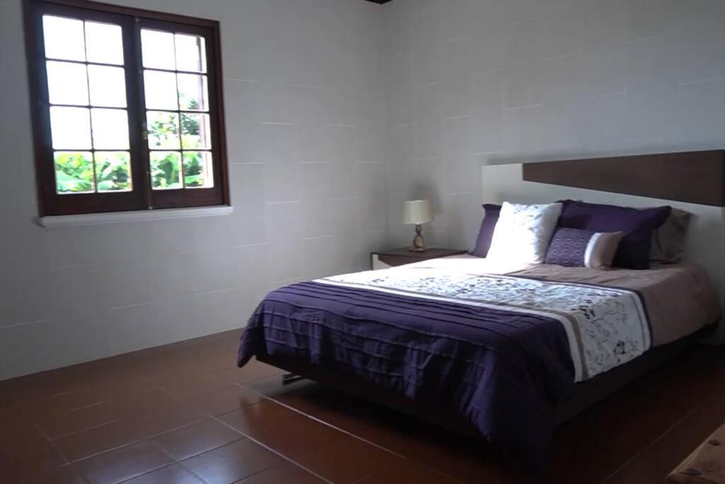 Vila Nova Vila Franca do Campo Luaran gambar