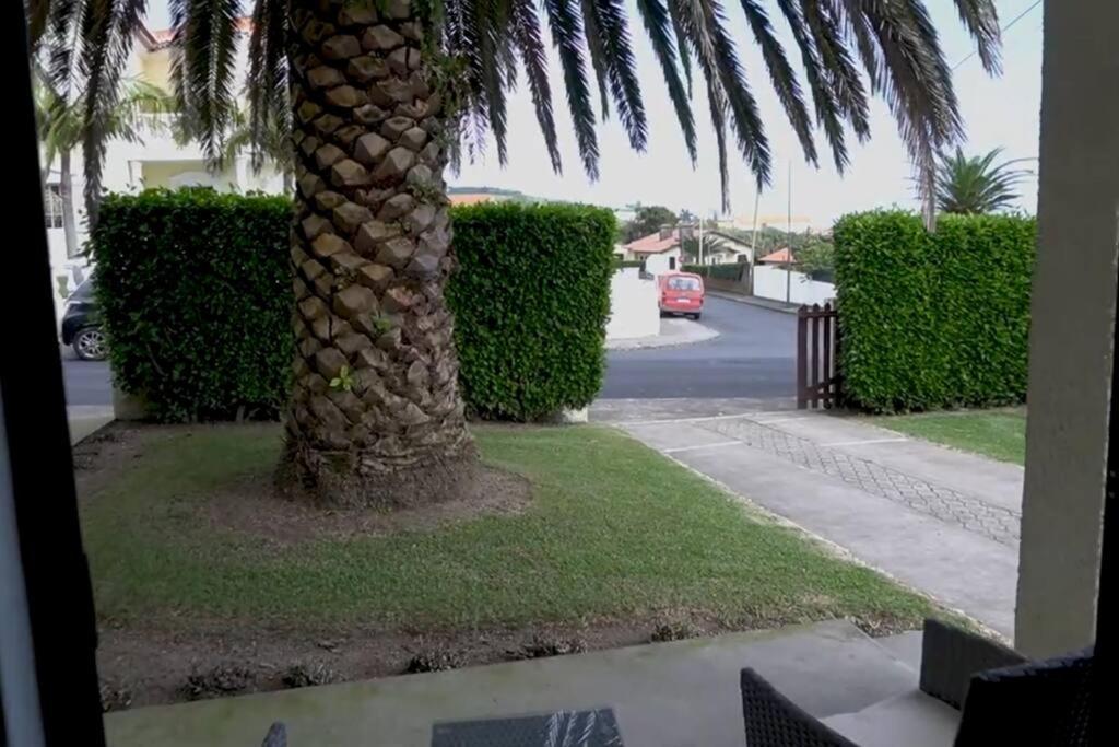 Vila Nova Vila Franca do Campo Luaran gambar